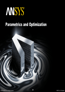 R12-08-parametrics+optimization