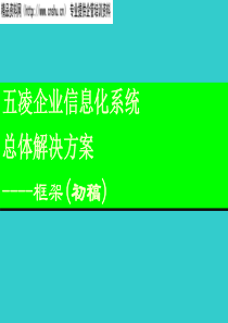 企业信息化系统总体解决方案