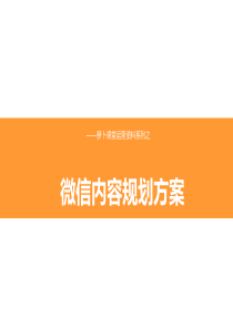 微信内容运营方案模板范本【精品策划方案商业书】