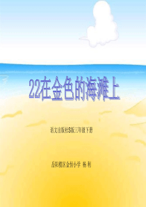 22、在金色的海滩上2