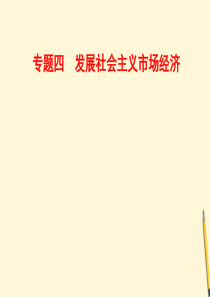 2012届高三政治二轮复习 专题4 发展社会主义市场经济课件