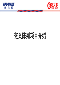 2009交叉陈列项目介绍6681658827(新)