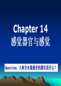 普通生物学_14感觉器官与感觉