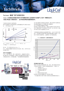 Paulaner酿酒厂脱气系统的优化