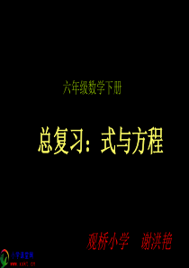 六下《式与方程》PPT课件(人教新课标)