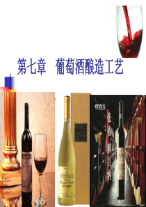 葡萄酒酿造工艺