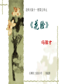 《花脸》