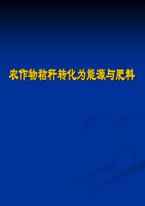 秸杆沼气发电项目