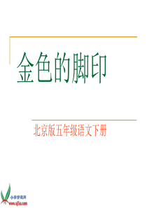 北京版语文五年级下册《金色的脚印》PPT课件之二