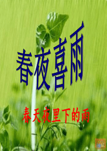 二年级语文下册《春夜喜雨》