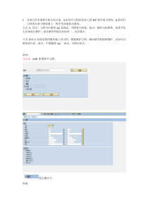 SAP程序文档管理方案