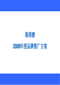 斯得雅2009年度品牌推广方案