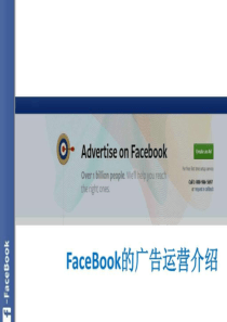 59facebook广告运营模式.ppt16