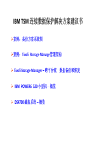 IBM TSM 连续数据保护解决方案建议书_IBM China Virtualization and