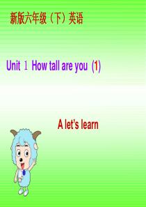 unit1-how-tall-are-you第一课时课件