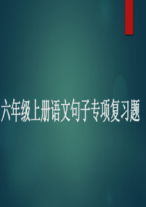 六年级上册语文句子专项复习题