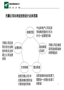 天图-天麟组织设计方案(房地产公司全案之)(精)