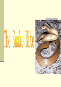 Unit 3 The Snake Bite(被蛇咬)(综合英语教程2第三单元)