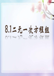 数学七年级人教版下册 8.1二元一次方程组