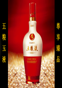 XXXX年五粮液白酒HONGJIU品鉴会策划方案