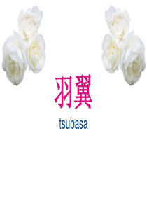 婚礼策划方案之Tsubasa羽翼(52100)