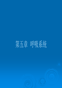 4呼吸系统、泌尿系统