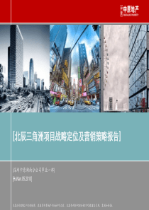 中原2010年5月北辰三角洲项目战略定位及营销策略报告179P