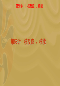 物理 课件 高三 _2012届高考物理一轮复习精品课件(福建专版)：第58讲 核反应、核能16128