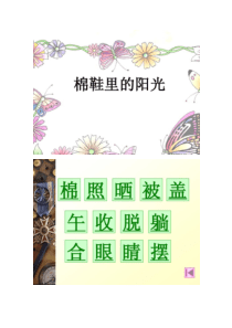 《棉鞋里的阳光_2》PPT课件1汇总