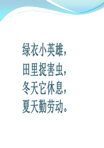 自制课件识字3.小青蛙