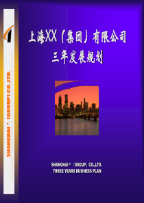 上海XX(集团)有限公司三年发展规划