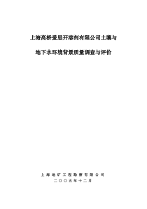 上海XXXX公司土壤与地下水环境质量背景调查与评价报告