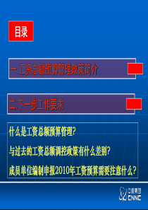 工资总额预算管理有关情况说明