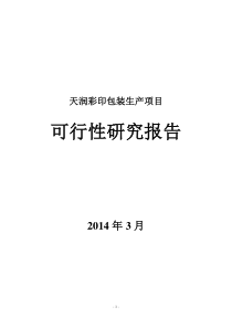 天润彩印包装生产项目可行性研究报告