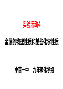 实验活动4 金属的物理性质和某些化学性质