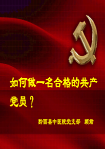 如何做一名合格党员