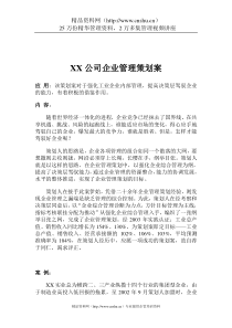 XX公司企业管理策划案（DOC5页）