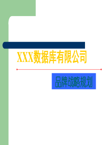 XX数据库有限公司品牌战略规划PPT66