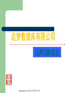 XX数据库有限公司品牌战略规划（PPT 66）