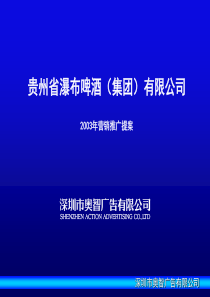 XX瀑布啤酒（集团）有限公司营销推广提案(PPT 35页)