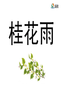 《桂花雨》优教课件