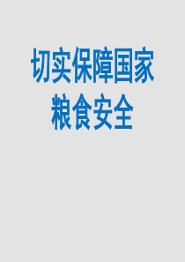 切实保障国家粮食安全