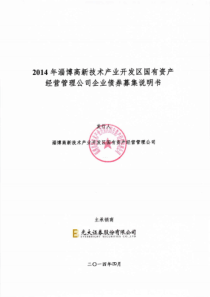 X年淄博高新技术产业开发区国有资产经营管理公司企