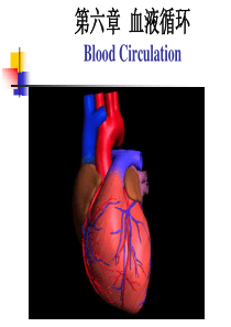 中国药科大学人体解剖生理学课件—第六章 血液循环