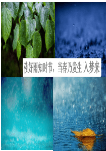 昆明的雨优质课