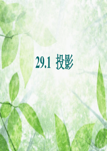 29.1投影