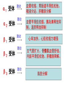 α激动药、β  激动药