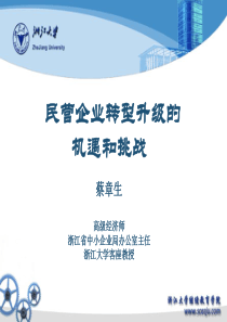 蔡章生民营企业转型升级的机遇和挑战