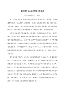 教师晋升专业技术职务工作总结