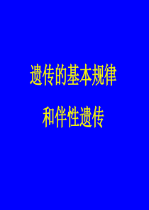 2010遗传基本定律和伴性遗传